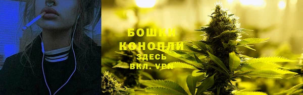 дживик Новодвинск