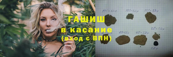 прущие грибы Алзамай