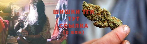 ПСИЛОЦИБИНОВЫЕ ГРИБЫ Новокубанск