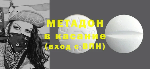 прущие грибы Алзамай